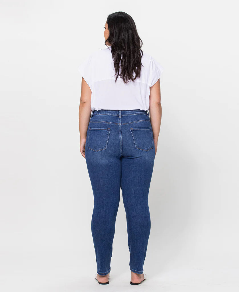 Vervet High Rise Skinny Plus